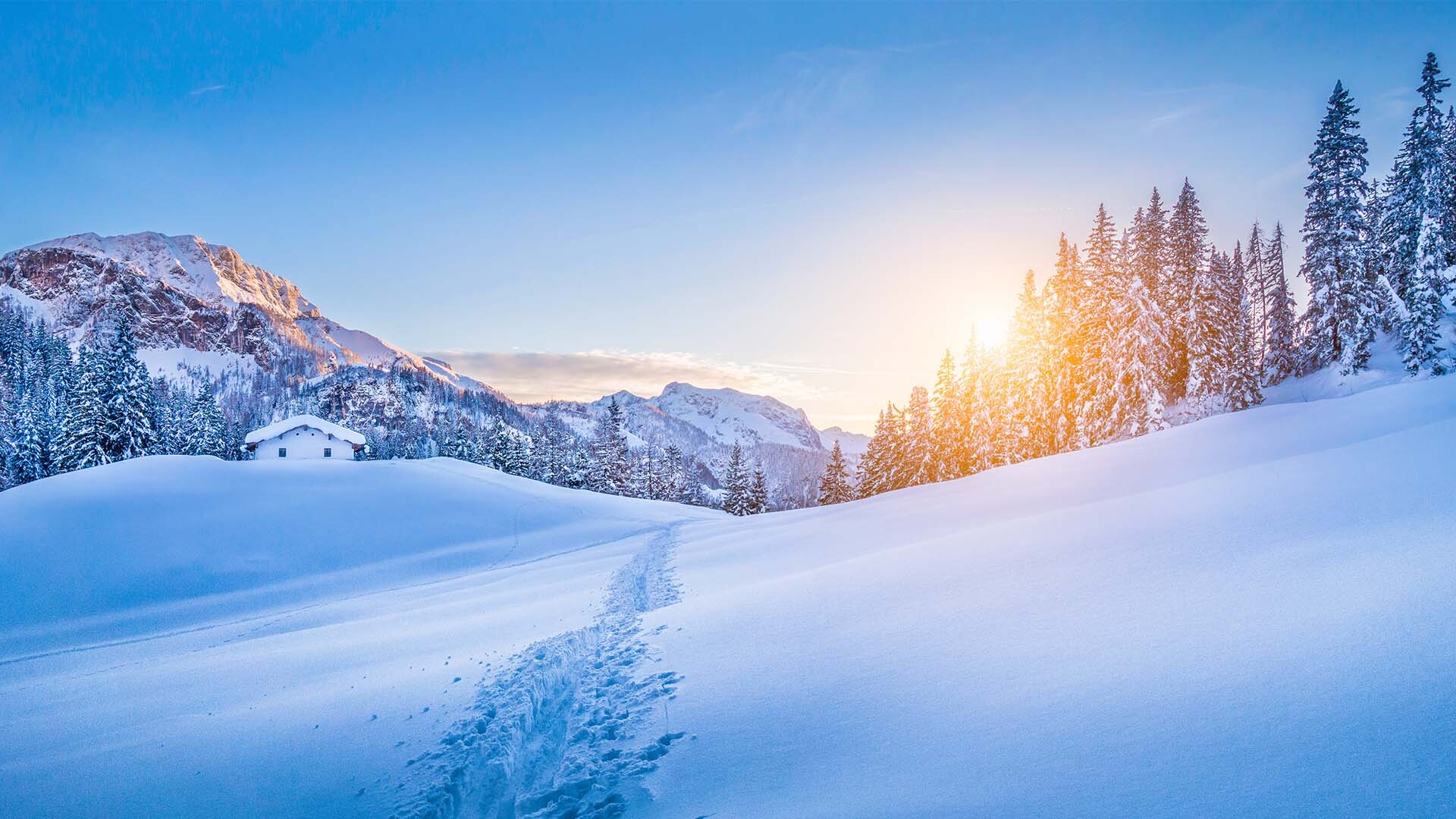 Quest Login Login pages Info